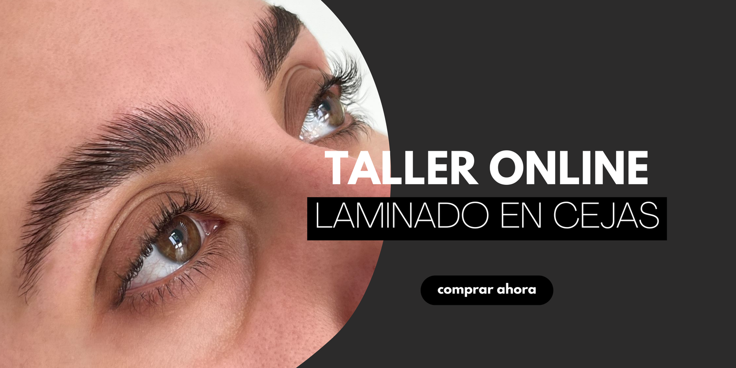 Taller Online de Laminado, Visagismo y Tinte de Cejas