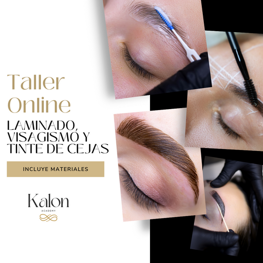 Taller Online de Laminado, Visagismo y Tinte de Cejas