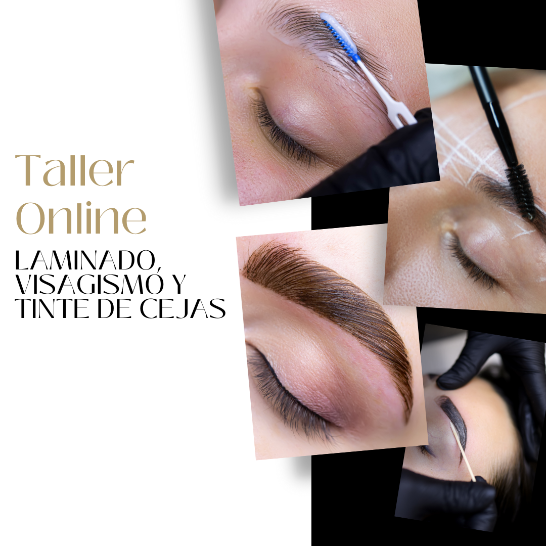 Taller Online de Laminado, Visagismo y Tinte de Cejas