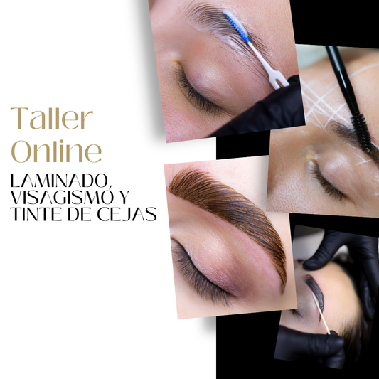 Taller Online de Laminado, Visagismo y Tinte de Cejas
