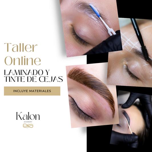 Taller Online de Laminado, Visagismo y Tinte de Cejas